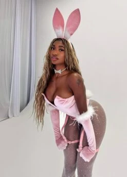 WHAT A WAIST PINK BUNNY HARNESS -LOLE OUTLET Facetune 30 08 2025 21 29 39 35179a63 4f15 4018 83cc 531fd3ab9780